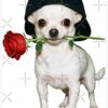 flat750x075f pad750x1000f8f8f8.u15 6 - Chihuahua Shop