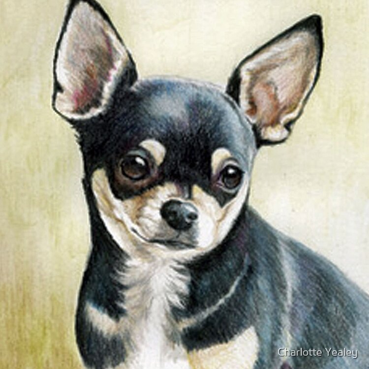flat750x075f-pad750x750f8f8f8-9 flat750x075f pad750x750f8f8f8 9 - Chihuahua Shop