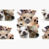 flat750x075f pad750x750f8f8f8.u4 10 - Chihuahua Shop