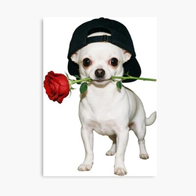 Chihuahua Exclusive Artwork Poster