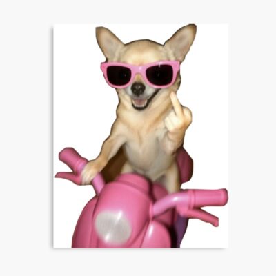 Chihuahua Timeless Design Poster