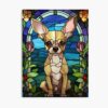 mp840x830mattef8f8f8t pad1000x1000f8f8f8 6 - Chihuahua Shop