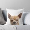 urthrow pillow couch smallsquare1000x1000 10 - Chihuahua Shop
